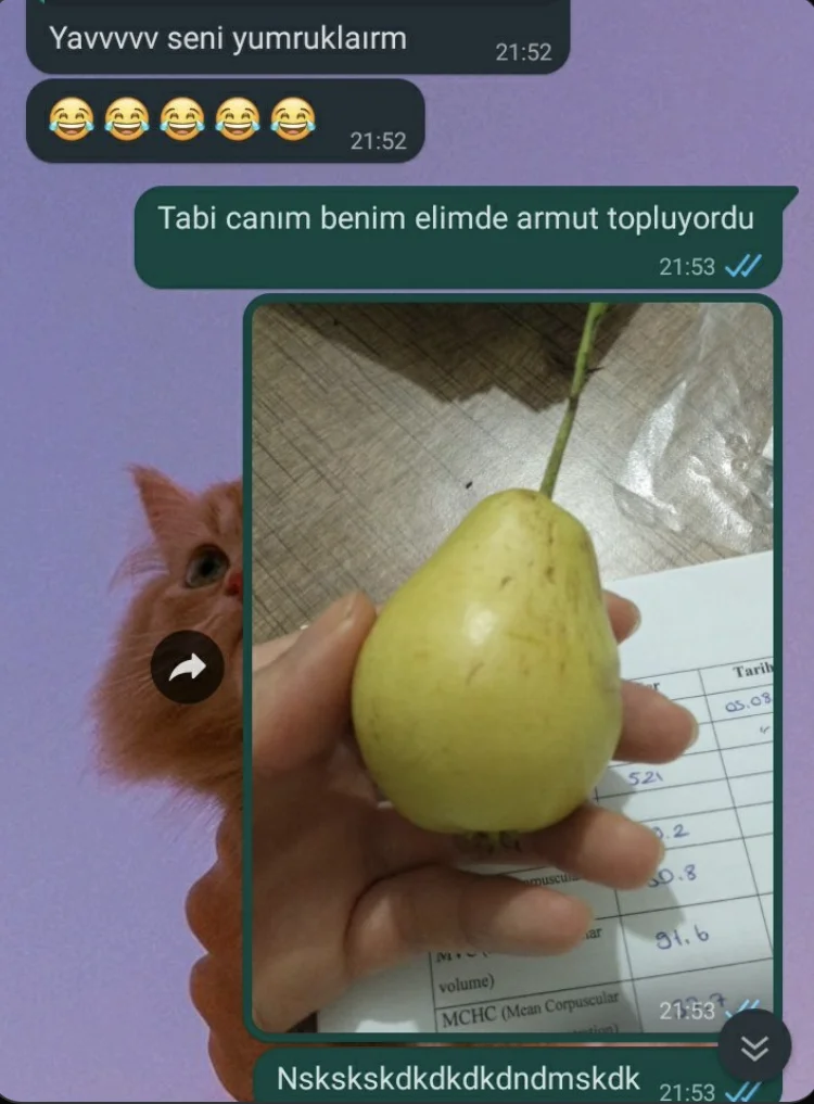 armut, komik, soğuk, toplamak