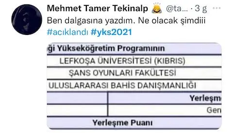 üniversite, tercih, komik, yerleştirme, mizah, eğlence, sosyal, medya