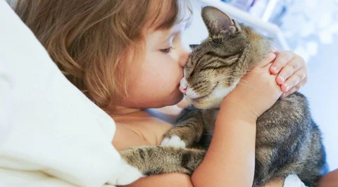 kedi, kediler ne ister, kediler nelerden hoşlanır, cat, cats, kediler neden ısırır, kediler nasıl sevilmeli