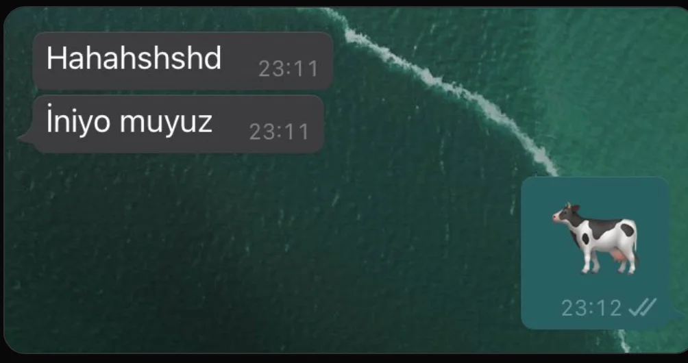 inek, soğuk, espri, mizah