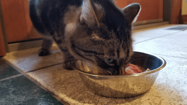 GÖRSEL AÇIKLAMASI BURAYA