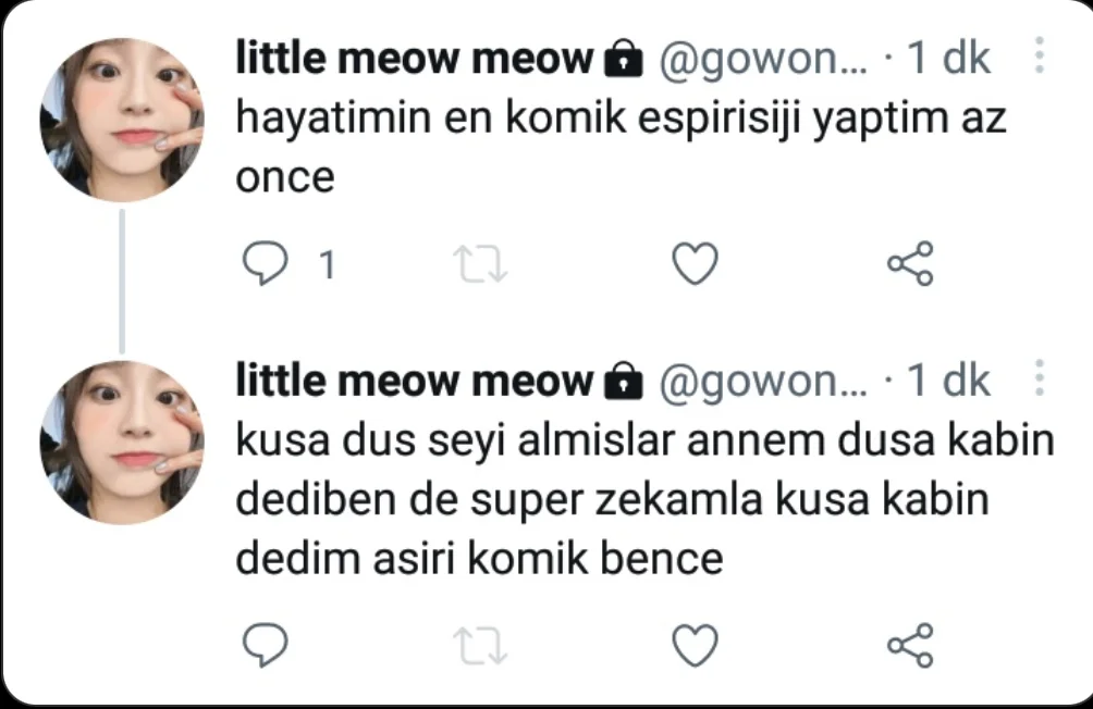kuş, kabin, soğuk, espri, twitter