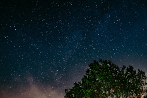 yıldızlar ağaçlar görmek